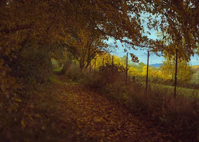 Momo Den Apartman Blomberg